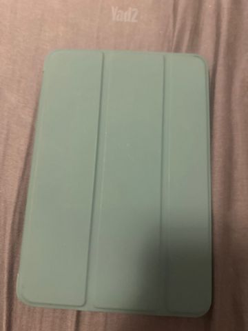 iPad mini 2