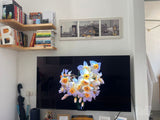 Tcl c7l sqd mini-led 55