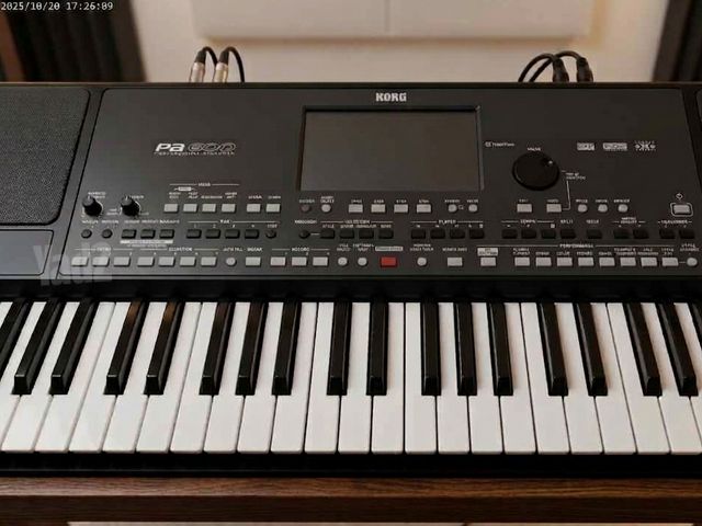 אורגן קורג pa 600