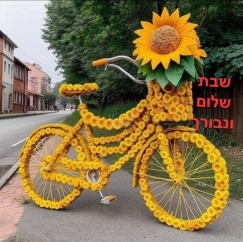 קערות וסירים