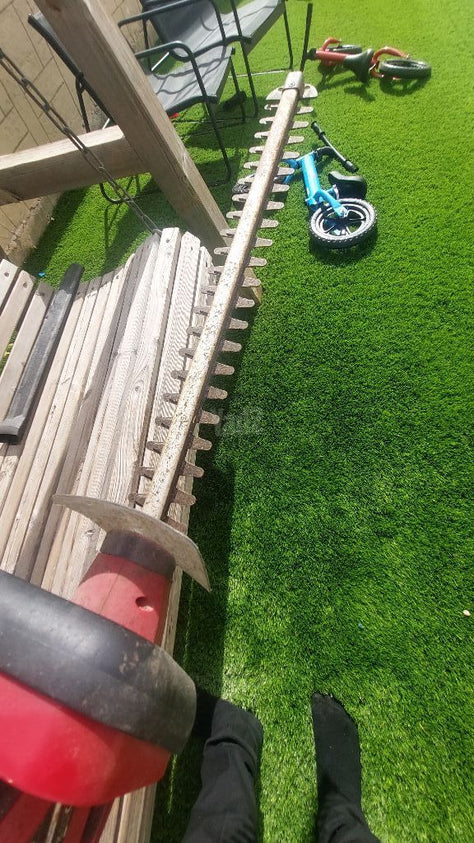 גוזם גדר חיה