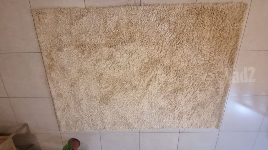 שטיח סלון