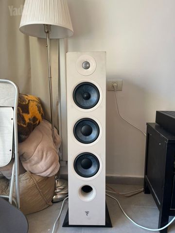focal chora 826