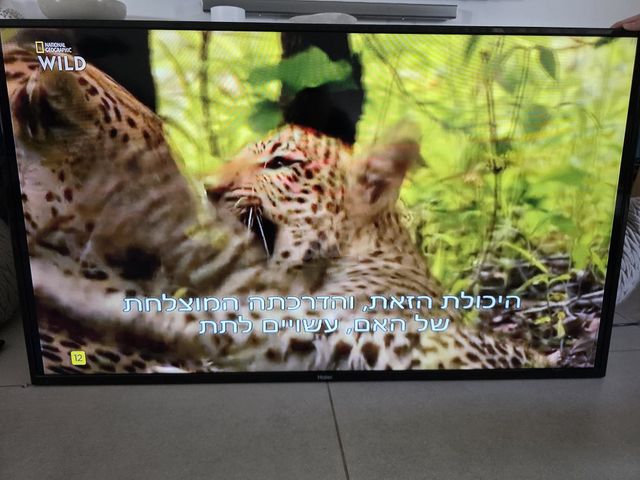 טלויזיה LED 50 Haier