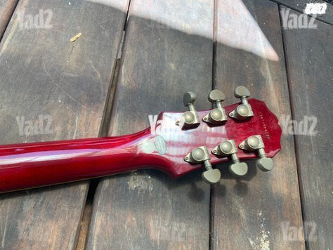 Epiphone standard PRO