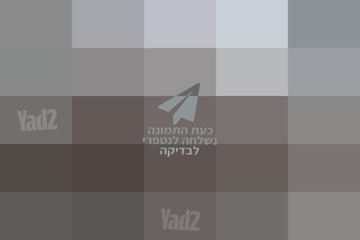 ספה דו מושבית