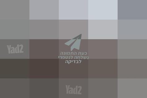 ספה דו מושבית