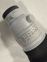 Sony 300mm 2.8 GM