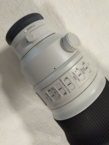 Sony 300mm 2.8 GM