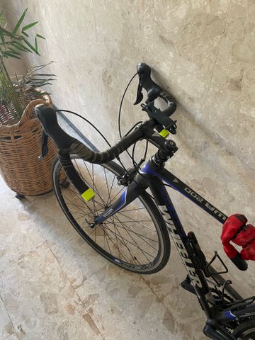 אופני כביש WHEELER
