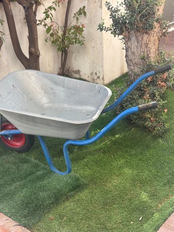 מריצה