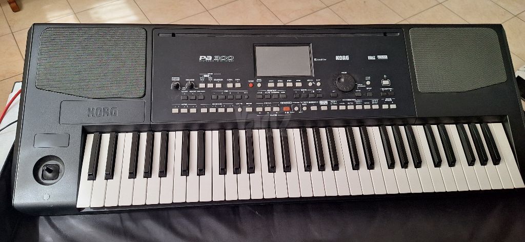 אורגן KORG PA300