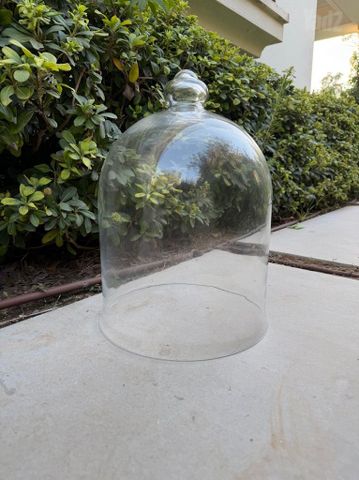 פעמון זכוכית