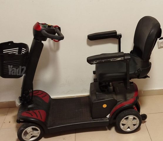 קולנועית (צרעה)