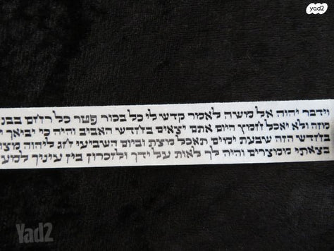 תפילין