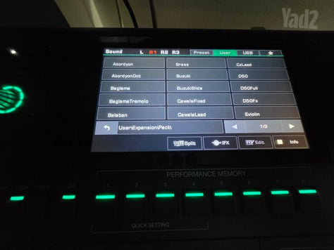 Medeli AKX-10 + Yamaha styles