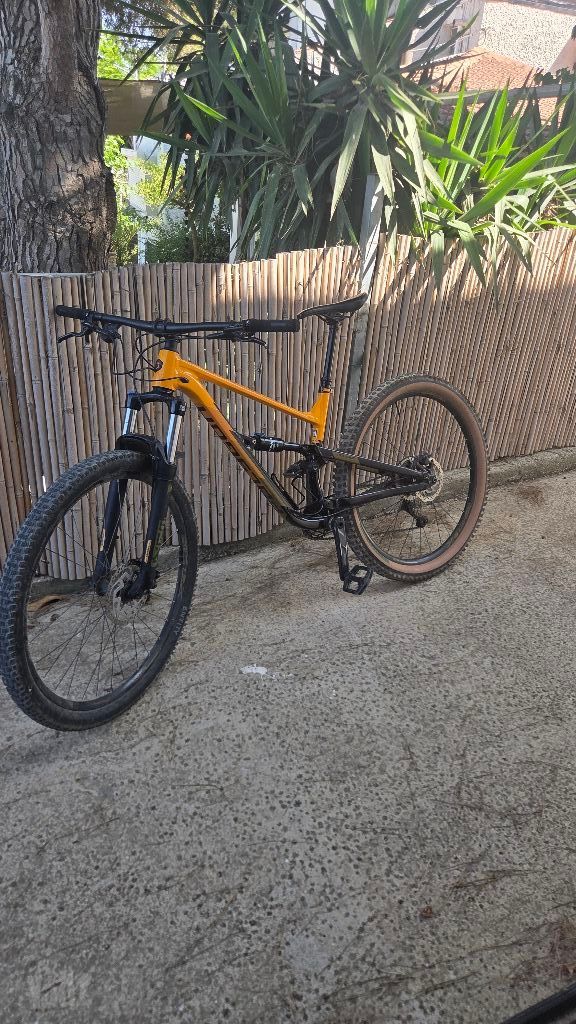 Polygon d6