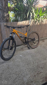 Polygon d6
