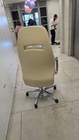 כיסא מנהלים