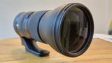 D500 + עדשת טמרון 150-600 G2
