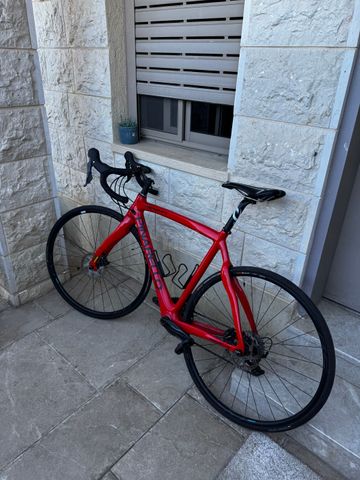 אופני כביש- pinarello