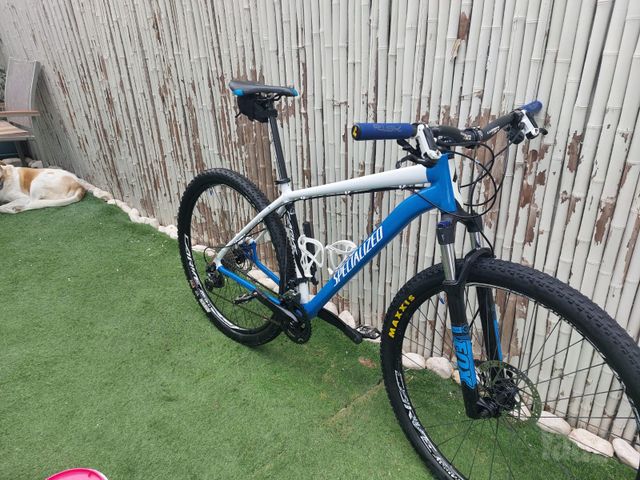 אופני שטח specialized מידה L