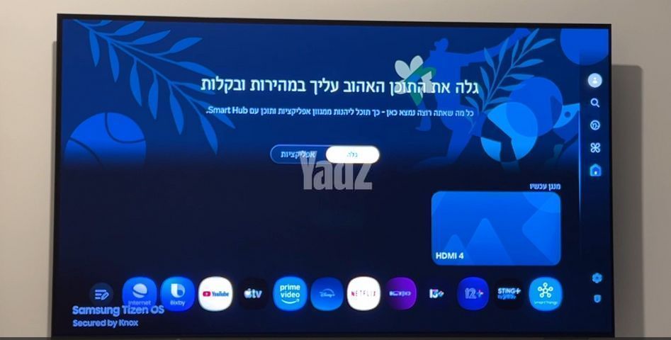 טלויזיה "55