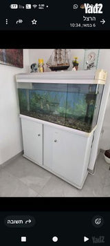 אקווריום לדגים