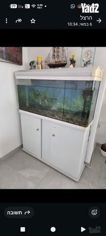 אקווריום לדגים