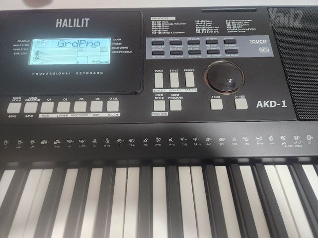 אורגן AKD1