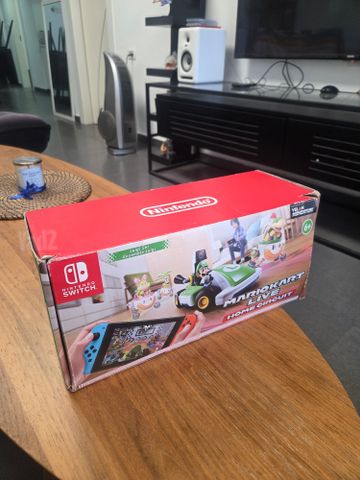Mario Kart Live Home Circuit