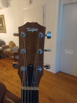 אקוסטית  Taylor academy 12e