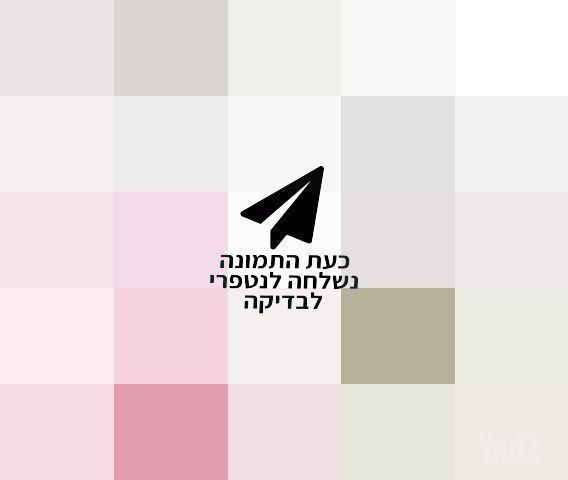 ציוד דיג