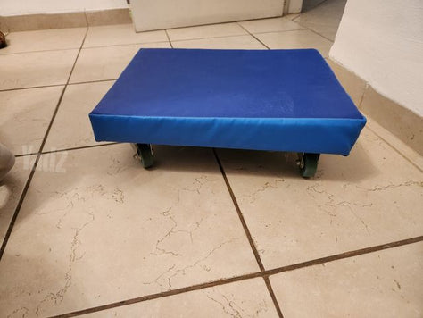 סקוטר מרופד