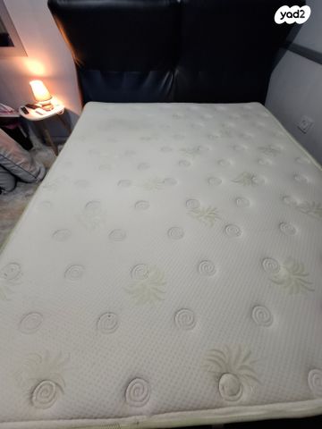 מיאה זוגית