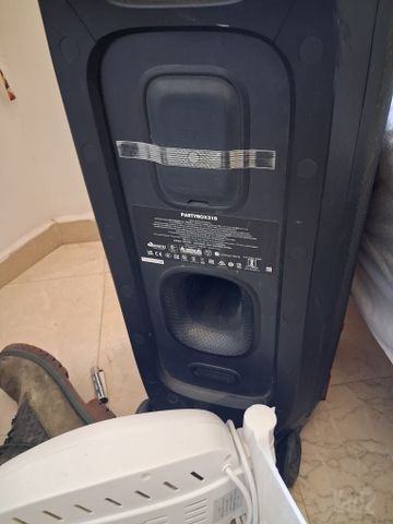 Partybox 310