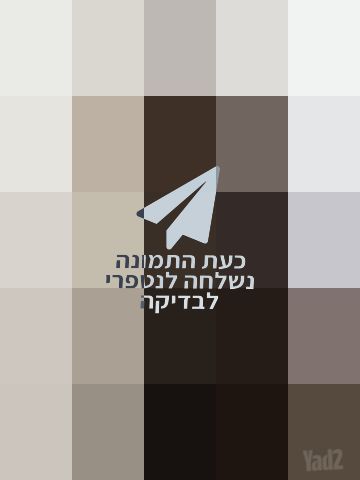 פאת טופ לייס