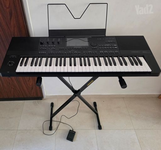 Medeli AKX-10 + Yamaha styles