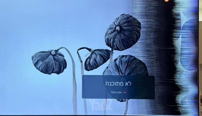 טלווזיה oled g4