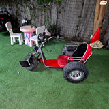 אופניים חשמלי 3גלגלים