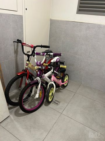 עופניים