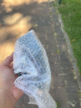 בקר לקוקינט