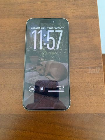 iPhone 15 pro max 256GB