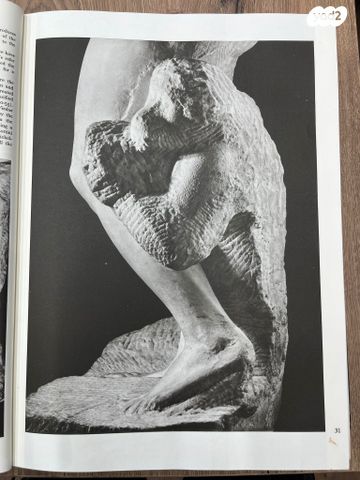 ספר אמנות של Michelangelo