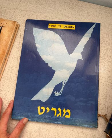 ספרי אמנות