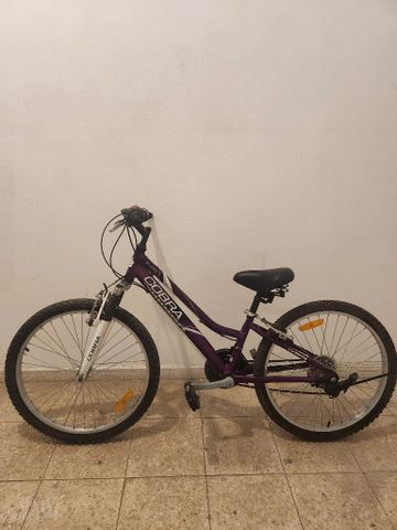אופנים 24'