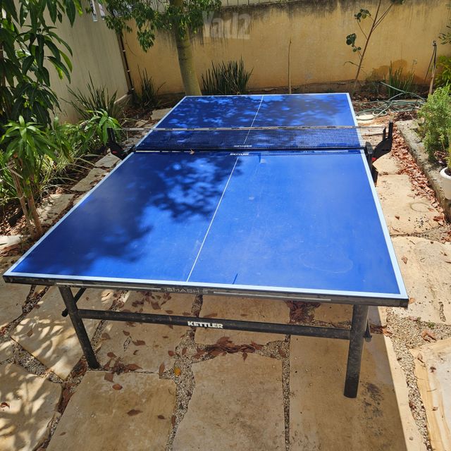 טניס שולחן