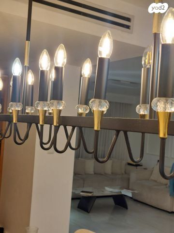 זוג שנדליר מפואר ניתן לרכוש 1