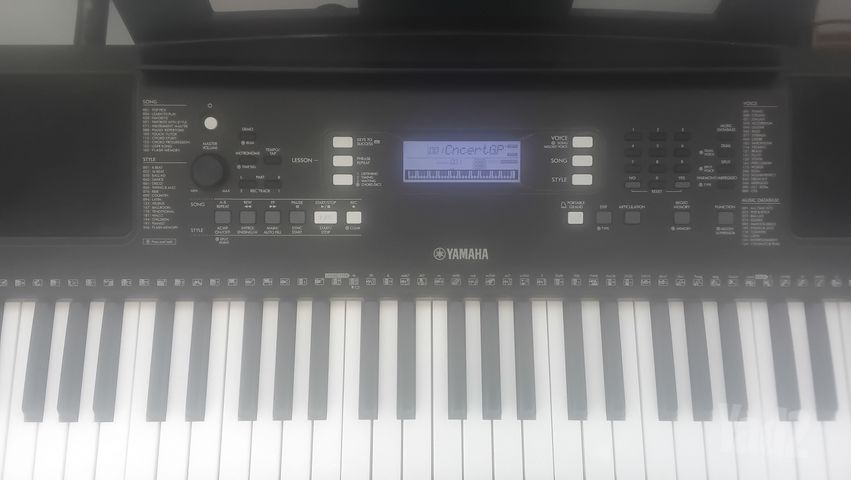 אורגנית yamaa e373