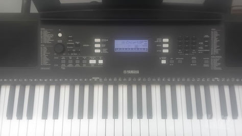אורגנית yamaa e373